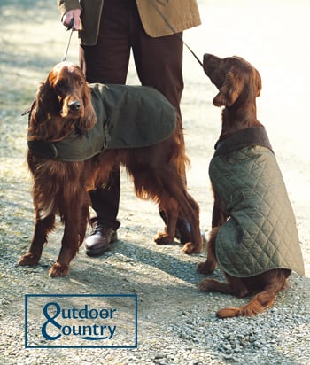 barbour dog jacket