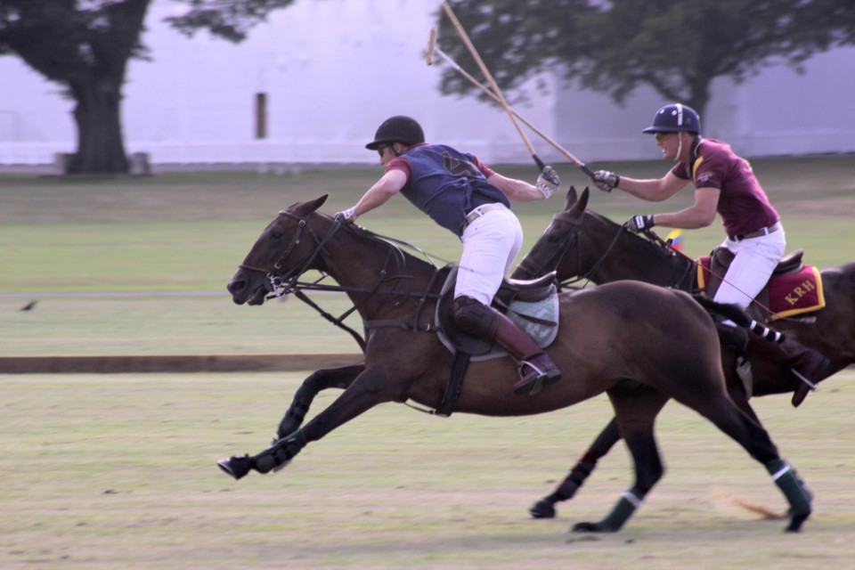 The history of polo...