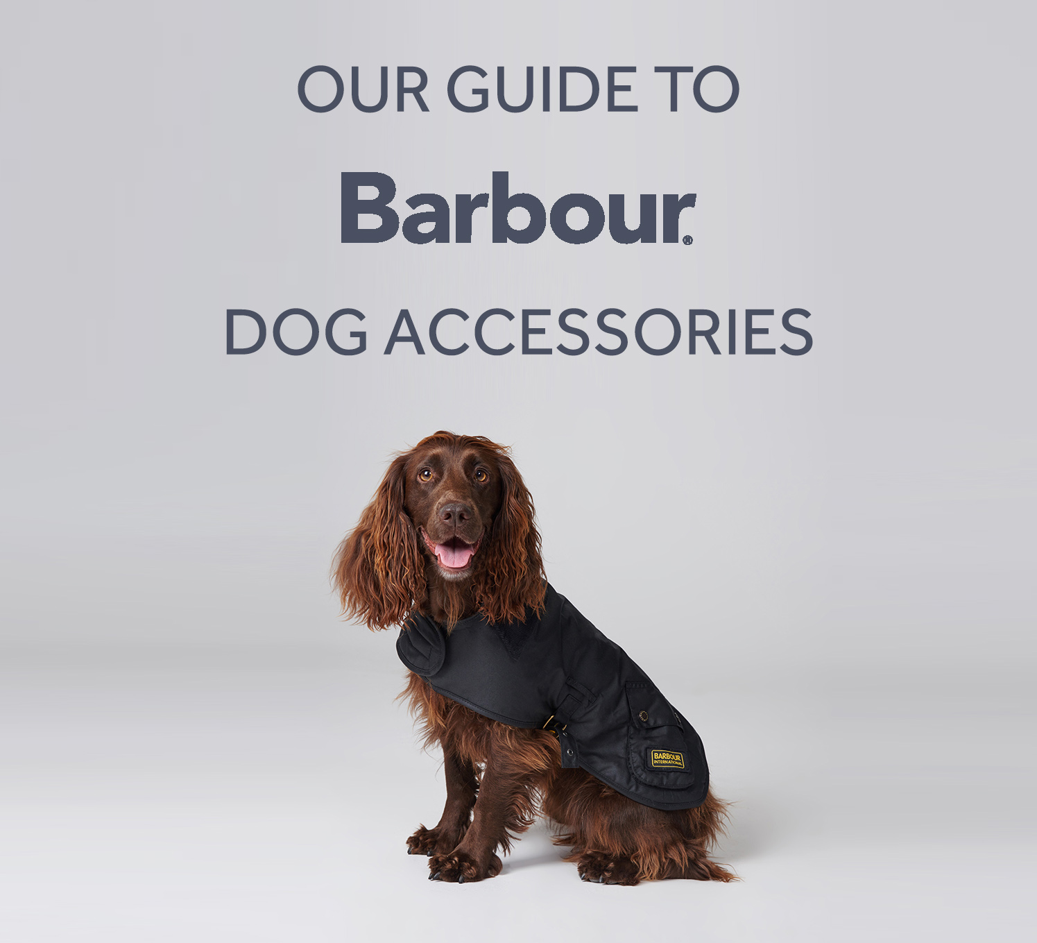 barbour dog jacket sizing
