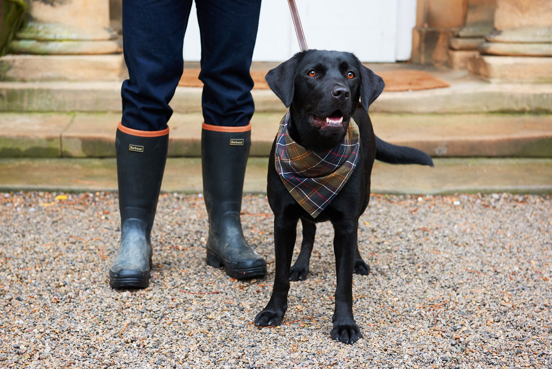 barbour dog neckerchief